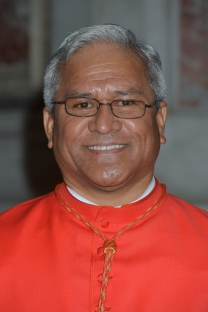 Soane Patita Paini