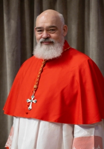 Dominique Joseph, O.F.M. Conv.