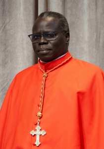 Stephen Ameyu Martin